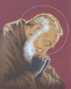 Padre Pio High Quality Print cm.20x25- 8"x10"