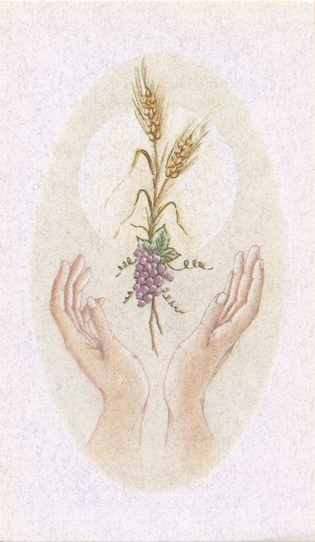 Communion Symbol Holy Card Blank cm.7x12 - 2 3/4" x 4 3/4"