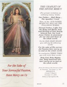 Chaplet of the Divine Mercy Bookmark cm.6x15.5- 2 1/2"x 6 1/8"