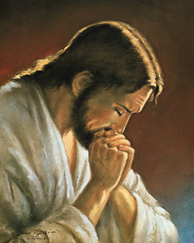 Jesus Praying (by Parisi) High Quality Print cm.20x25- 8"x10"- Code PS26 - min. order 3 pcs.